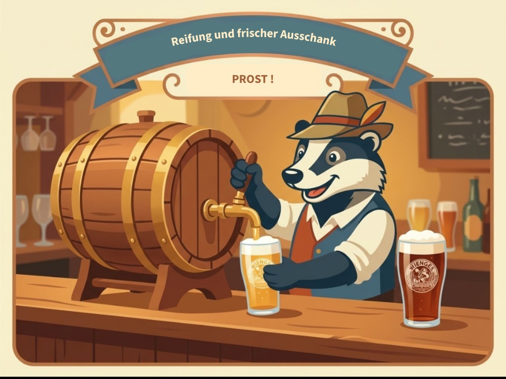 Illustration zur Krefelder Biertradition: der Wienges-Dachs zapft frisches Bier vom Fass.